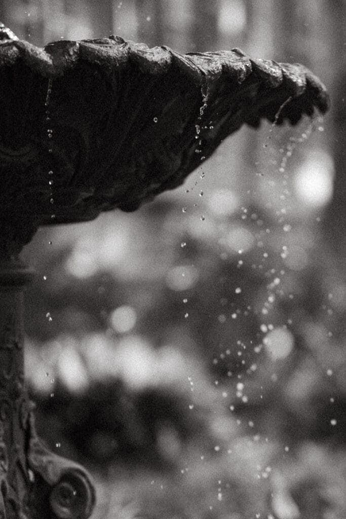 Black and white photograph of water cascading from an ornate fountain, highlighting the architectural details that can give historic wedding venues in Charleston SC their distinctive atmosphere.
