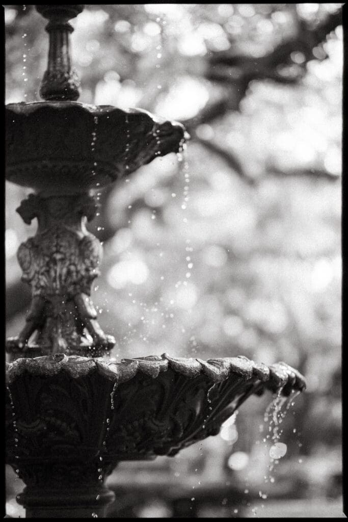 Black and white detail of water spilling from an ornate fountain, an elegant backdrop for couples considering romantic places to propose in Charleston SC.